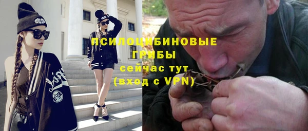 сатива Алексин
