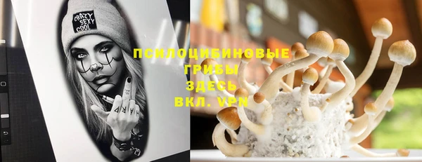 spice Армянск
