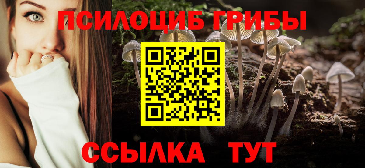 Псилоцибиновые грибы мицелий Краснотурьинск